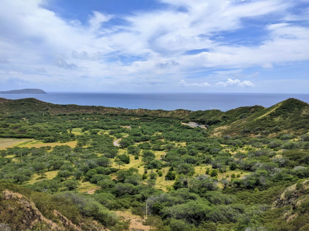 landscape of trees near the ocean